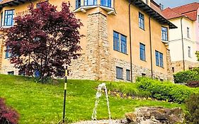 Luxury Spa & Wellness Vila Valaska